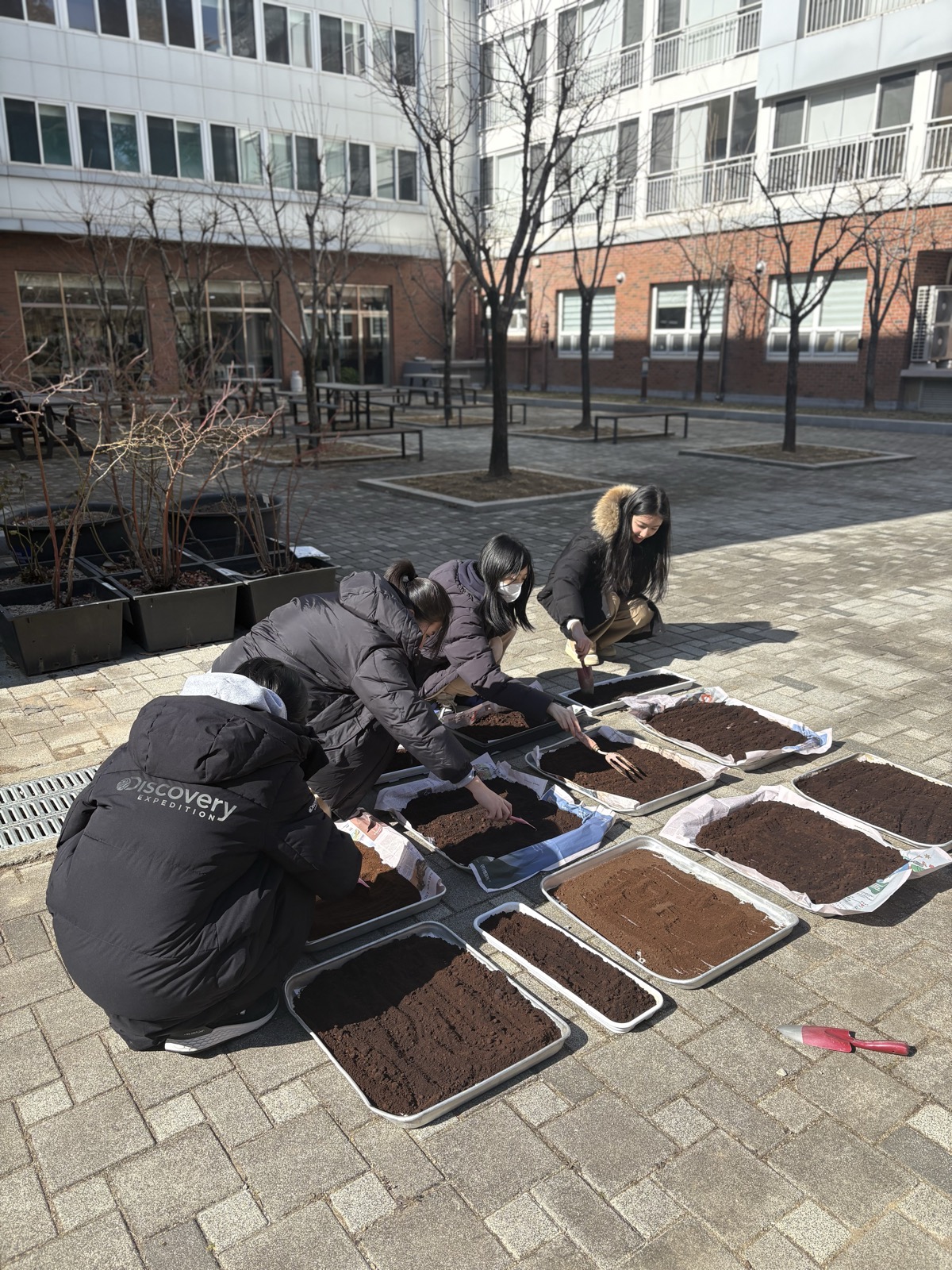 Rebrewing Daegu activity