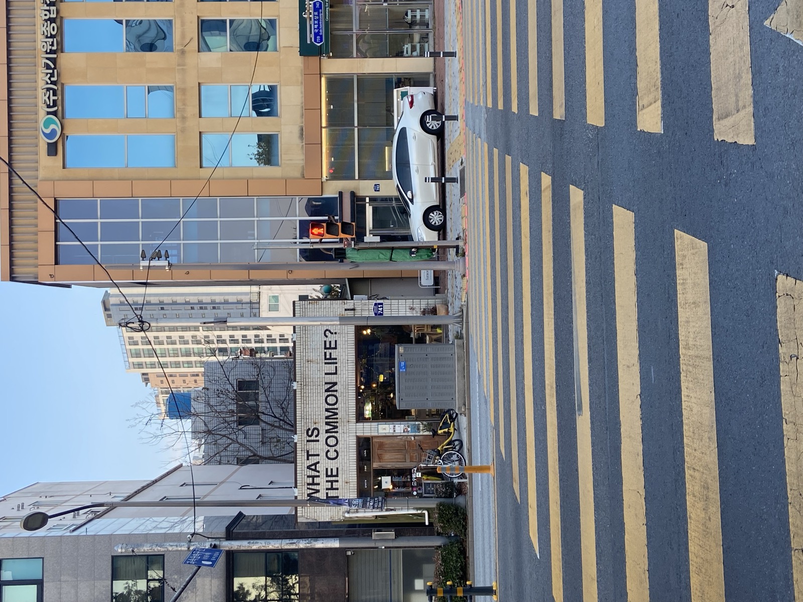 Rebrewing Daegu activity