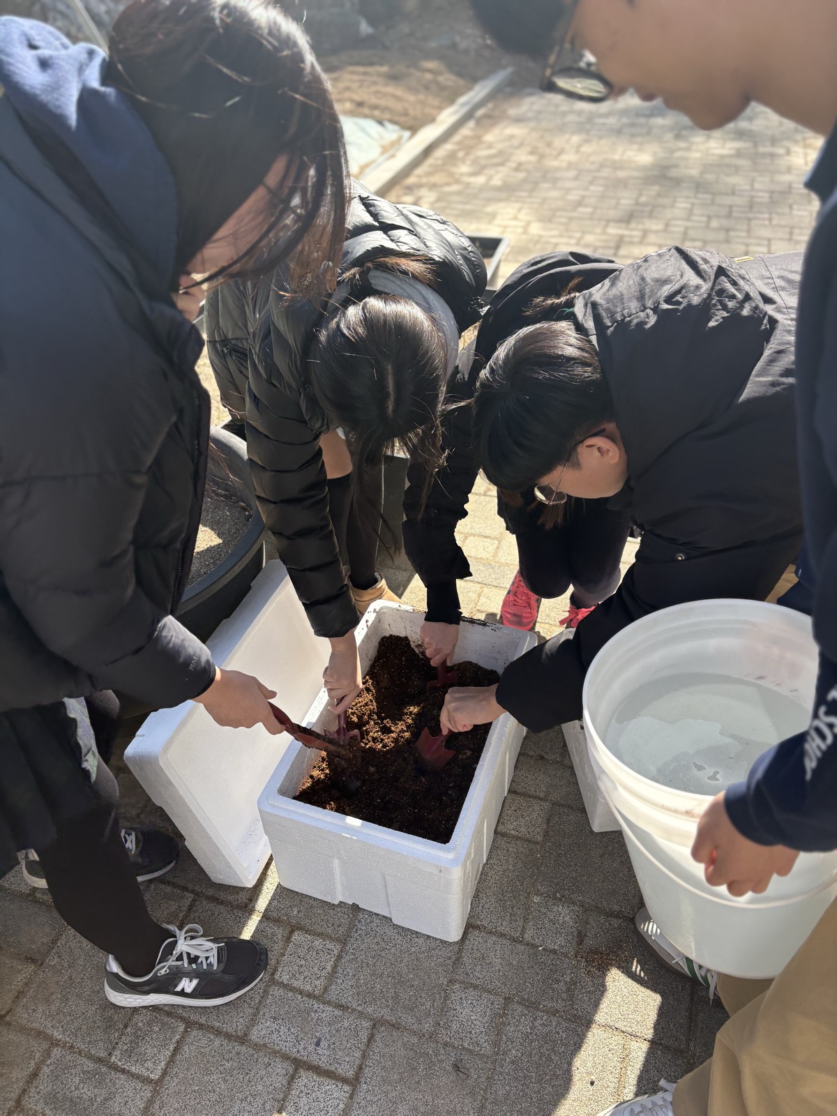 Rebrewing Daegu activity